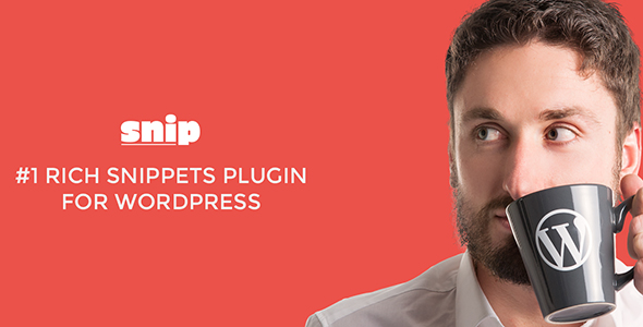 Rich Snippets WordPress Plugin v2.8.1
