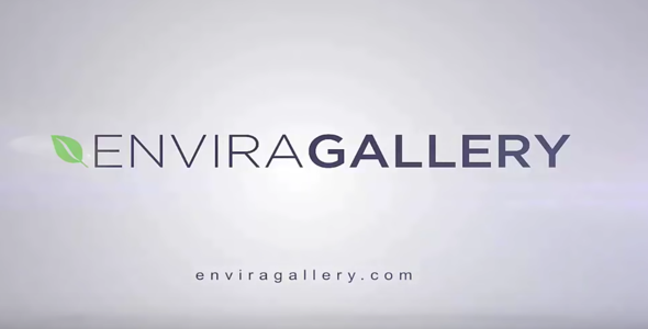 Envira Gallery v1.8.5.6
